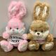 Personalized Plush Bunnies Gift for Kids