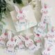 10 Pieces Personalized White Rabbit Baby Shower Favors, First Birthday Host Gift