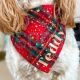 Personalised Bandana Tartan Christmas Dog Accessory Slide on Collar