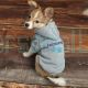 Personalized Pet Hoodie Sweatshirt Outdoor Dog Coat