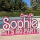 Pink Doll Inspired Personalized Wooden sign Custom Let's Go Party sign