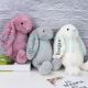 Personalized New baby Gift Plush Rabbit Toy