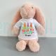 Personalized Bunny with Custom Shirt Easter Rabbit Gift