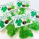 Party Favor Set | Treat Bag + Gift Tag | You ShamROCK My World - Set of 12