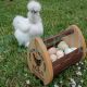 Wooden Personalized Egg Basket Garden Basket Farmhouse Egg Holder Vegetable Basket